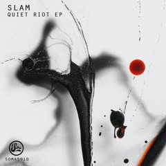 PREMIERE - Slam - Electrical - Soma Records