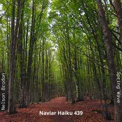 Nelson Brodon - Spring Wave (NaviarHaiku 439)