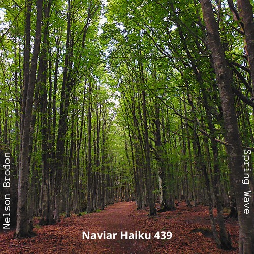 Nelson Brodon - Spring Wave (NaviarHaiku 439)