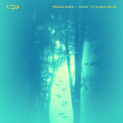 Where The Silence Walks