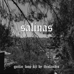 salinas guitar loop kit (prod. thislandis)