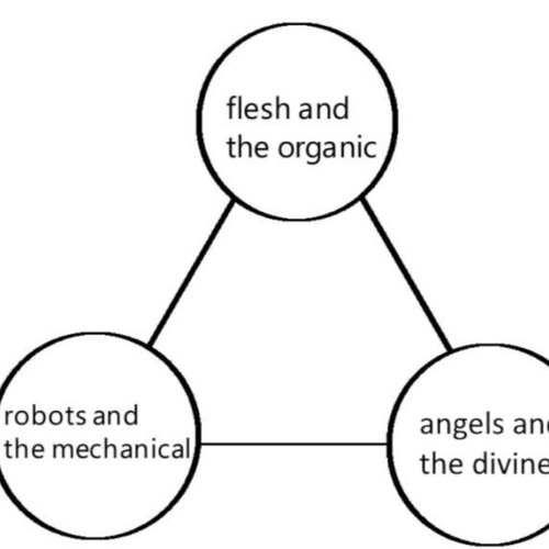 equalizer 𓏲ָꮺ﹅⋆ǂ