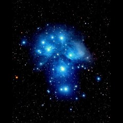 Sara Sees the Stars Tonight  - Bill Austin 2026