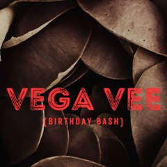 LEO ROJAS PRESENT VEGA VEE BIRTHDAY BASH XSCAPE MIAMI