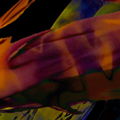 LE CHAT AUX CORNES MOUILLEES