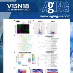 Genetic Profiles of Senescent Corneal and Conjunctival Epithelial Cells in Humans