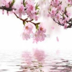 🌸🌸 **FAKEBLOOD MIXX** хиросима 😞🌸🌸