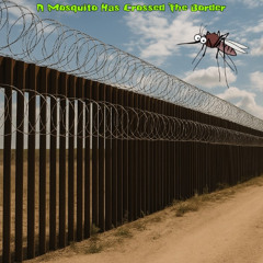 A Mosquito Has Crossed The Border