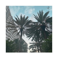 MIAMI SUNRISE (Techno Miami Club Mini Mix)