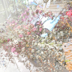 Ela [seq 2 clipped wave]