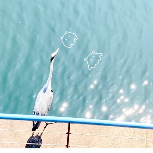 swim