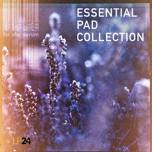 Stream LP24 - Essential Pad Collection by LP24 | Listen online for free on  SoundCloud