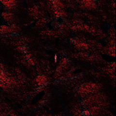 Black Nail (prod. drippy)