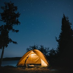 الوسم شرف المقناص