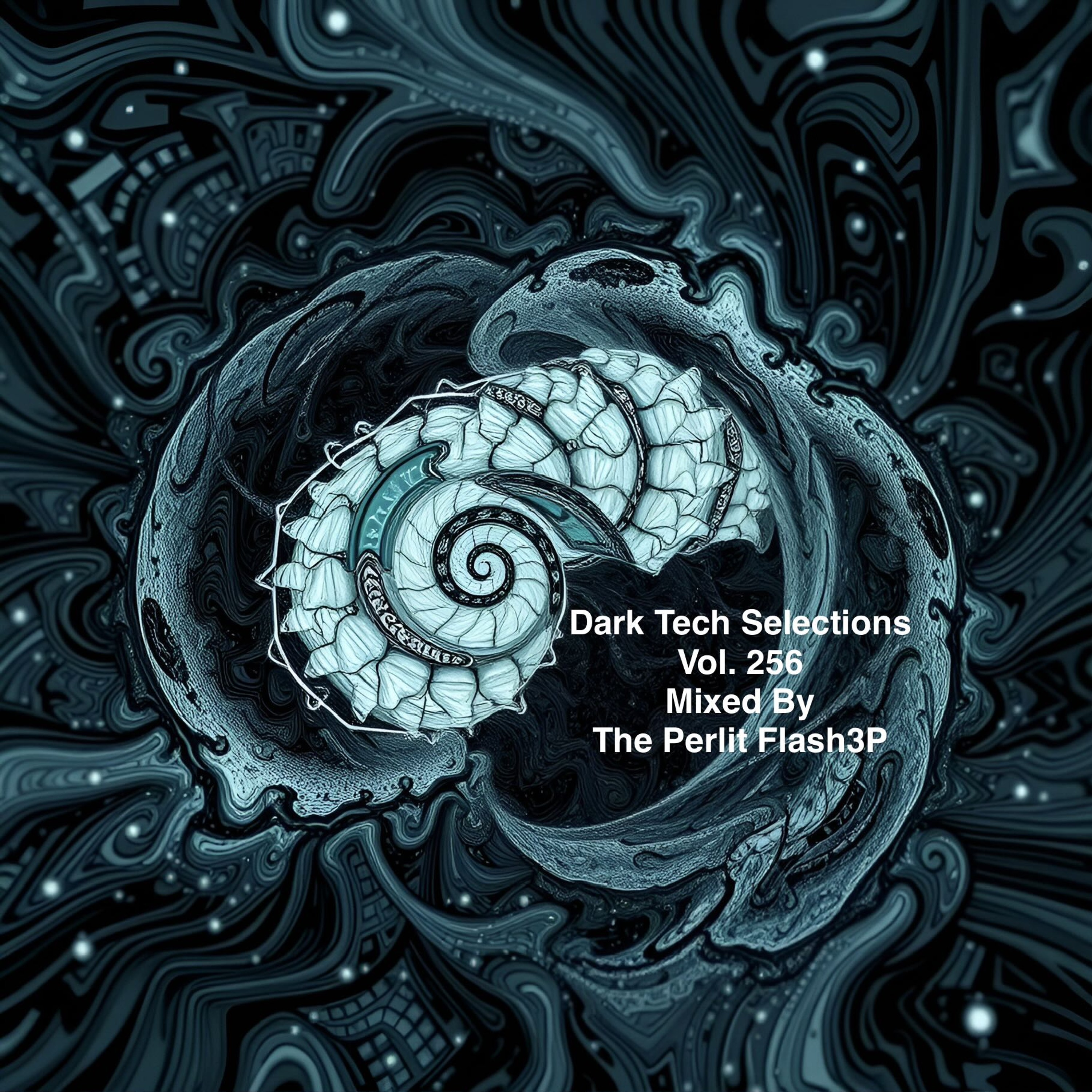 Dark Tech Selections Vol. 256 [Vinyl Only Mix] episode artwork