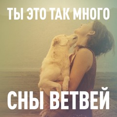 Ты это так много
