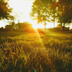 Majestic Dawn