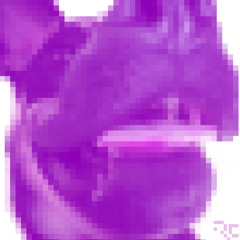 dogbreath