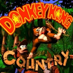 Forest Frenzy︱Donkey Kong Country 1