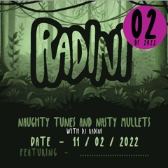 Naughty Tunes & Nasty Mullets 02 -  11.02.22