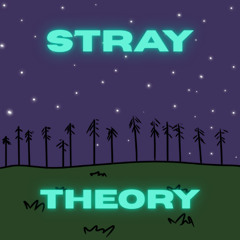 Theory
