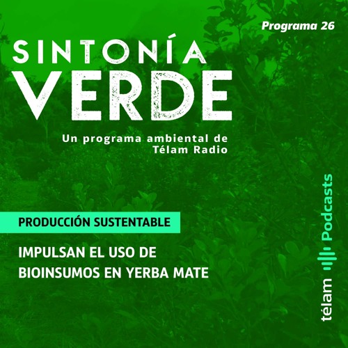 Producción sustentable: Impulsan el uso de bioinsumos en yerba mate