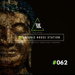 Zen Organic House #062 - Melodies for the Mind | 🛋️ Deep Focus dj mix session 慢摇