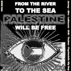 PALESTINE WILL BE FREE : AFRO BAILE TECHNO