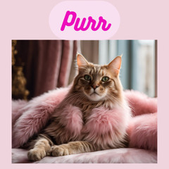 Purr
