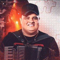 Tarcísio Do Acordeon- A Culpa É Dela (Com Grave)