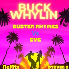 Eve Vs Busta - Stevie B Remix'24
