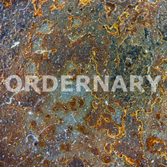 05 20260106 ORDERNARY 06-01-2026 DRONE XLI NEST