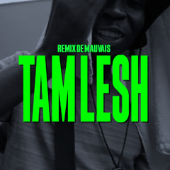 Thizzy - Tam Lesh | Remix de Mauvais