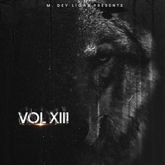 M. Dey Light Presents :: Vol. XIII