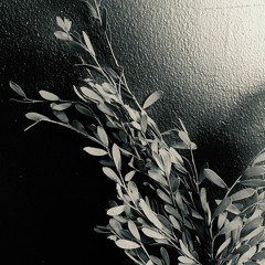 Hey! Hey! Where Did You Go?