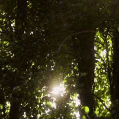 fable (w/ mis4ortune) [p. mis4ortune]