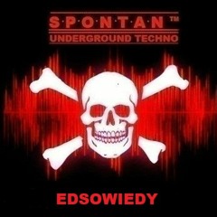 •S•P•O•N•T•A•N• PODCAST > EDSOWIEDY