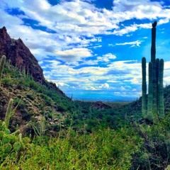 Tucson Song Circle - Songs We Sing