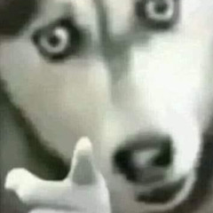 Hope This Explains How I Feel To You