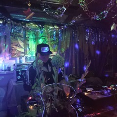 Willow Old School Hip Hop and other Genres from Hidden Orchard