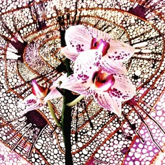 Something (Original)