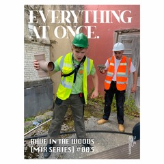 RAVE IN THE WOODS 003 : EVERYTHING AT ONCE