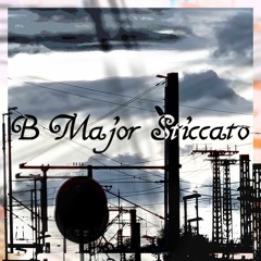 B Major Sticcado