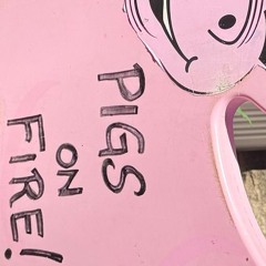 PigsOnFire
