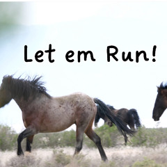 LET 'EM RUN