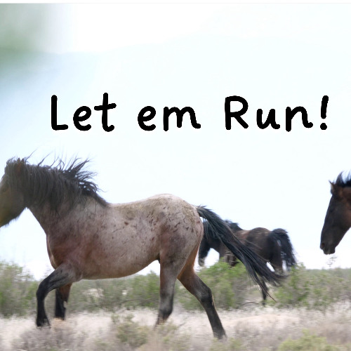 LET 'EM RUN