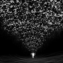 Andy Meyer - In The Shadow