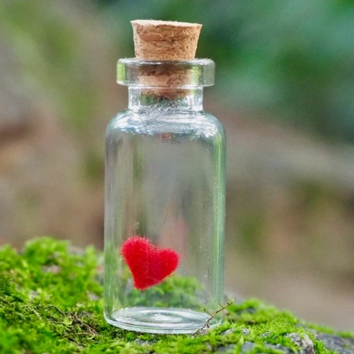 Bottle Of Love