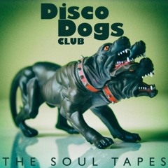 TH465 Disco Dogs Club - Mercedes Benz