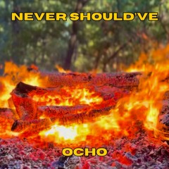Never Should've